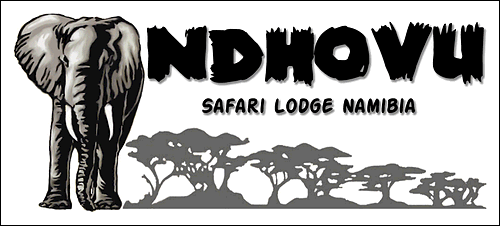 Ndhovu Safari Lodge