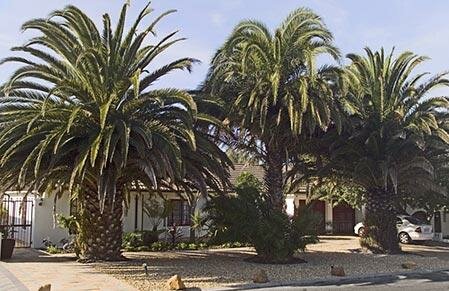 3 Palms Luxury Cottage
